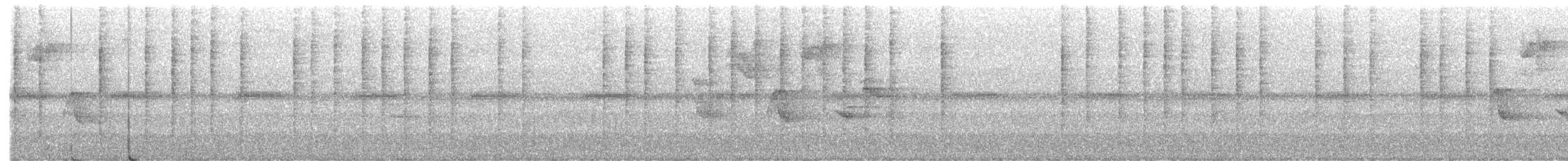 Troglodyte à poitrine grise (groupe mexicana) - ML595466601