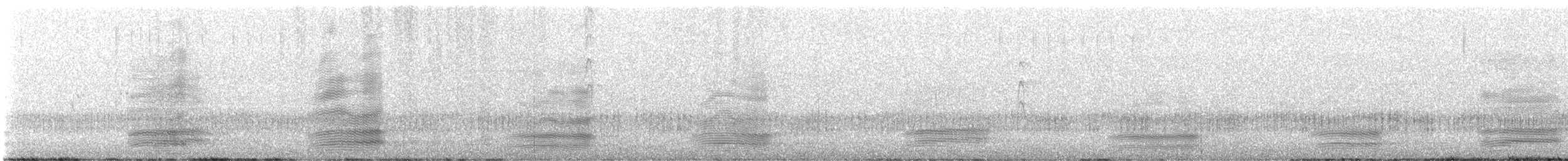 Тасманийский ворон - ML595483841