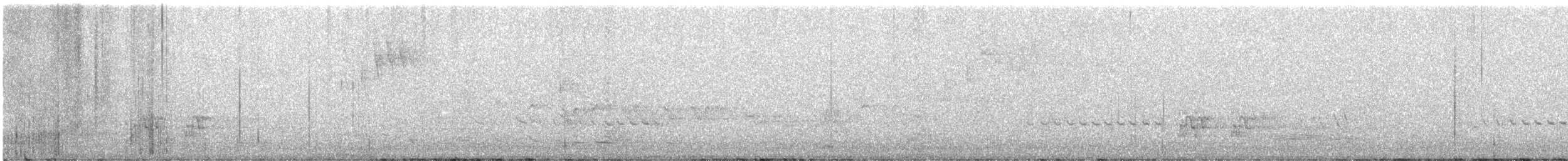 Тасманийский ворон - ML595485181