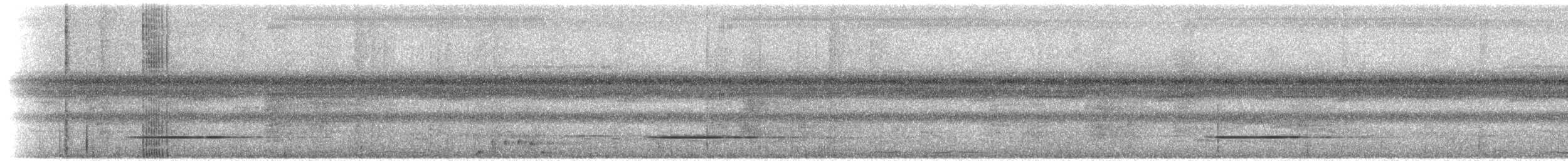 Серый скрытохвост - ML595552181