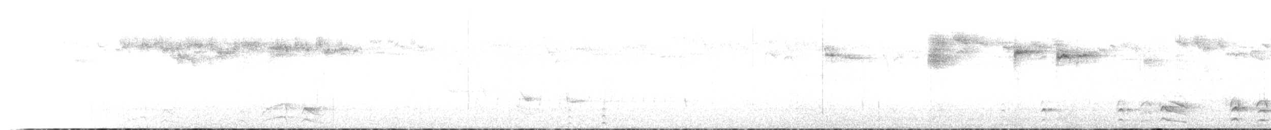 Weißbarttapaculo - ML595556961