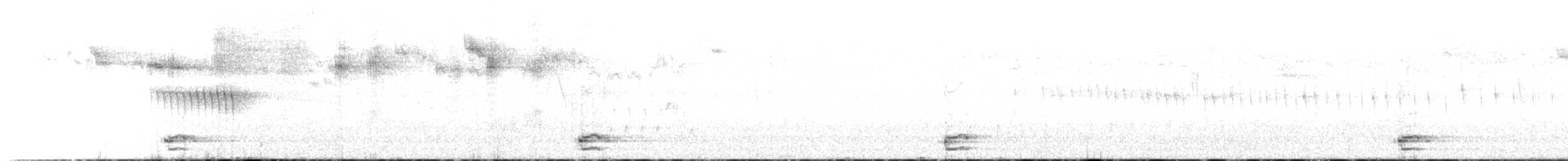 シラヒゲオタテドリ - ML595556971