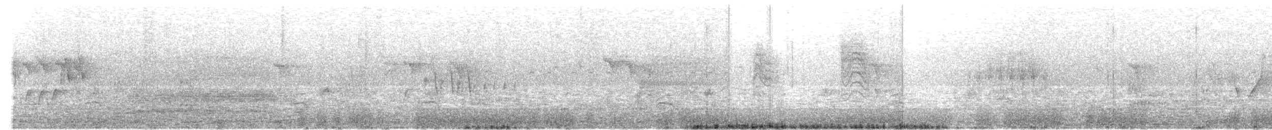 White-tailed Kite - ML595608951