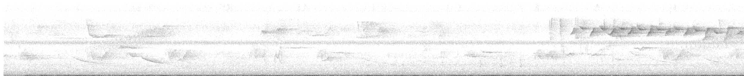 Black-and-white Warbler - ML595618651