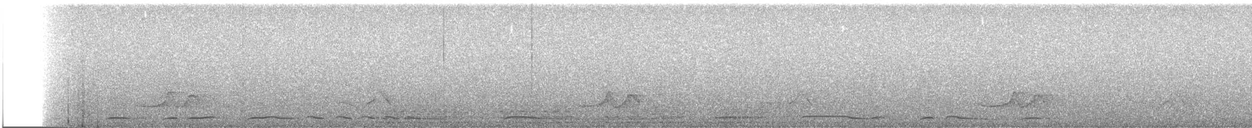 holub klínoocasý - ML595686121