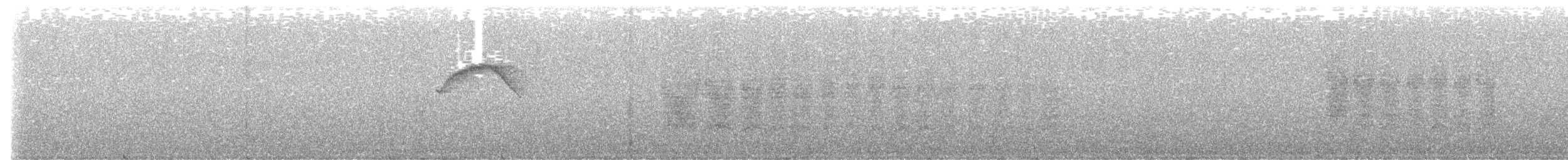 Kestane Karınlı Bülbül Tiranı - ML595740221