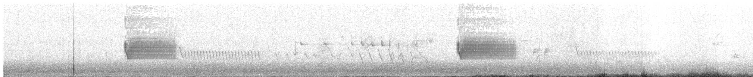 Tohi tacheté - ML59574351