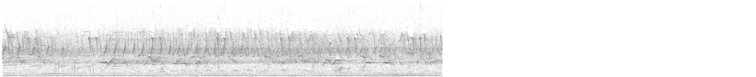 Common Gallinule - ML59575901
