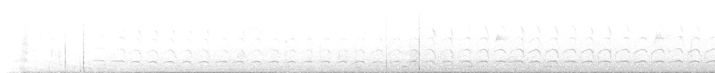 Gelbbauch- x Feuerkopf-Saftlecker (Hybrid) - ML595797851