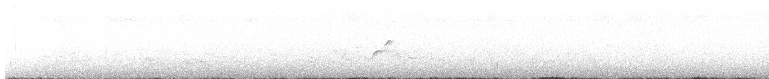 Western Flycatcher (Cordilleran) - ML595832221