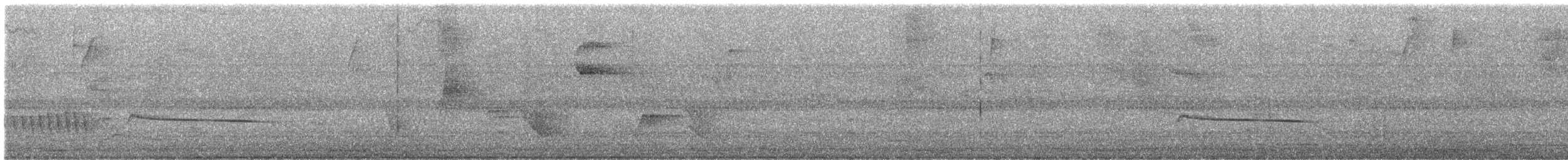 ベネズエラコタイランチョウ - ML595843501