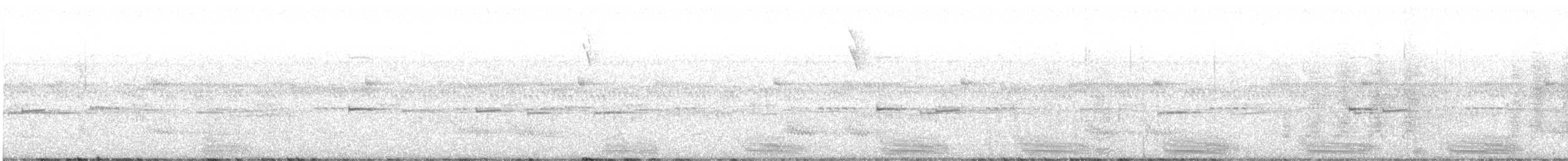 フイリコチュウハシ - ML595847311