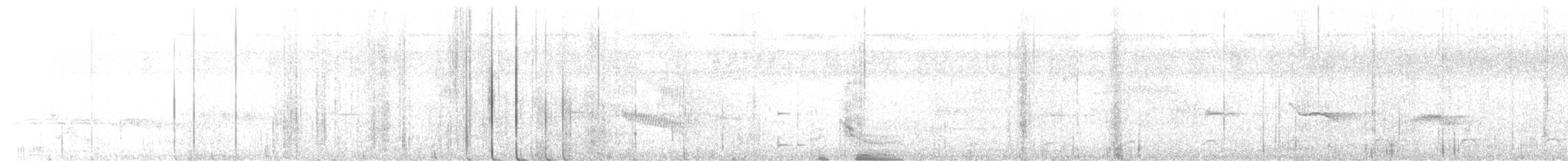 Чернопятнистая гологлазка - ML595849561