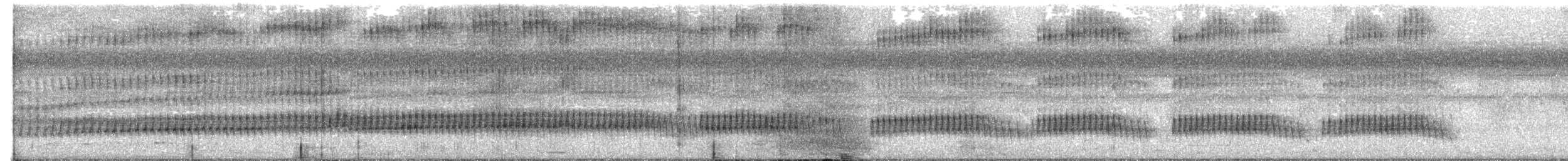 White-eared Jacamar - ML595896761
