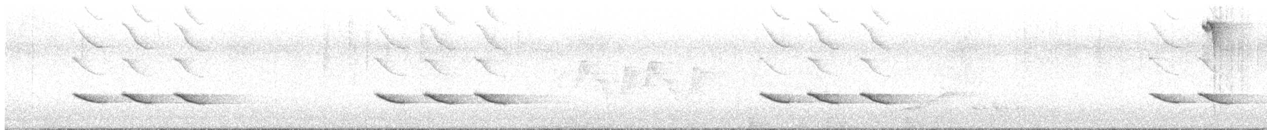 Синиця гострочуба - ML595915521