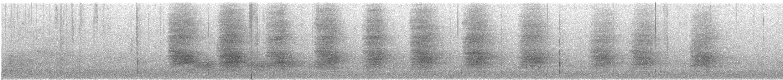 Steller Kargası (annectens) - ML595941731
