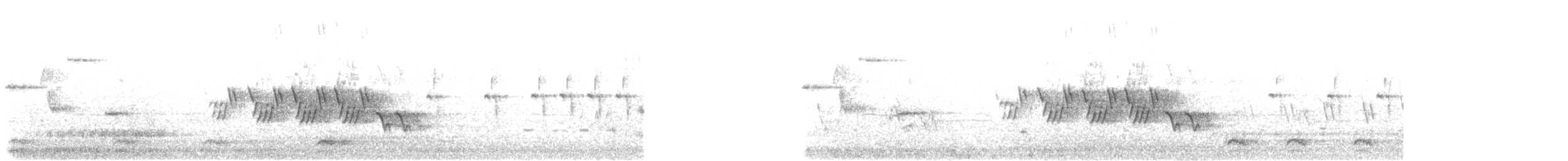 Mourning Warbler - ML59594971