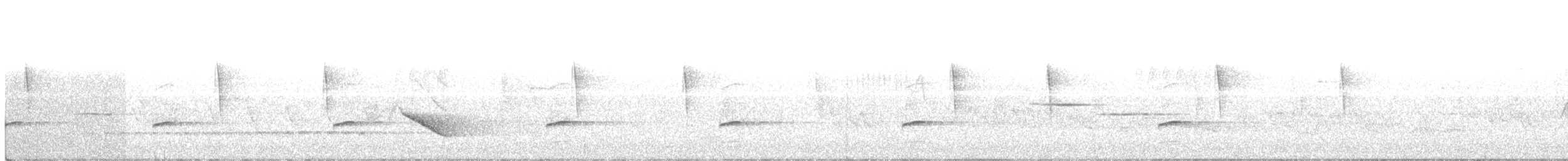 Дрізд-короткодзьоб бурий - ML59596021