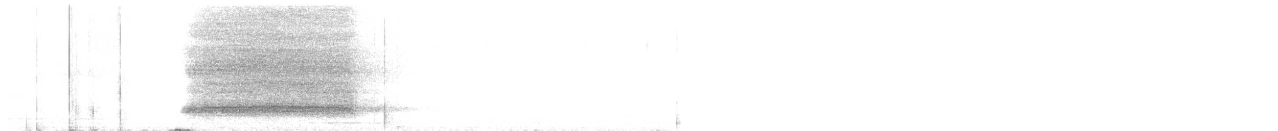Австралийская сипуха - ML595969511