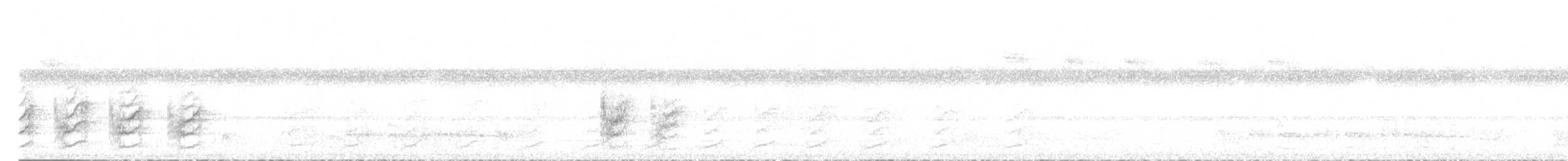 Manakin à ventre blanc - ML595973581
