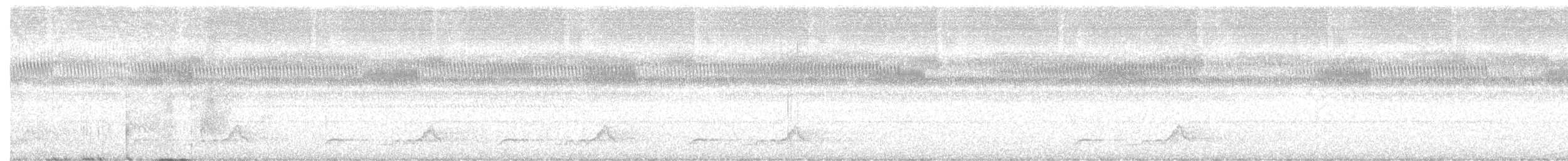 Schwarzkehl-Nachtschwalbe - ML595983021