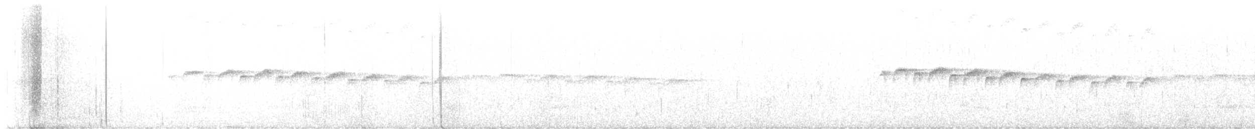 Beyaz Gerdanlı Karıncakuşu - ML595985221