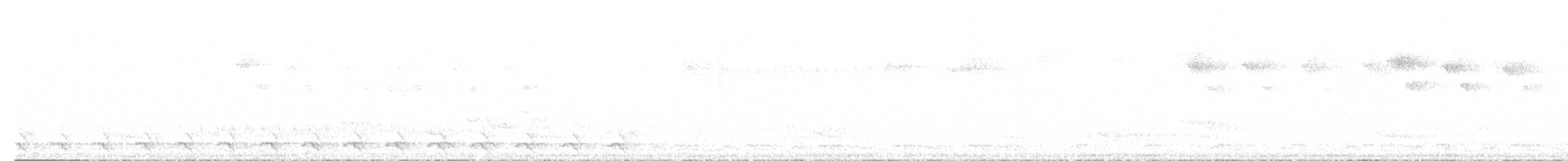 Белобородый сапфир - ML595991221