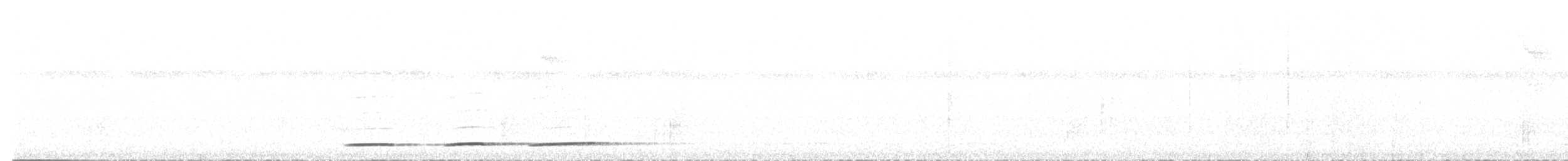 Undulated Tinamou - ML595993251