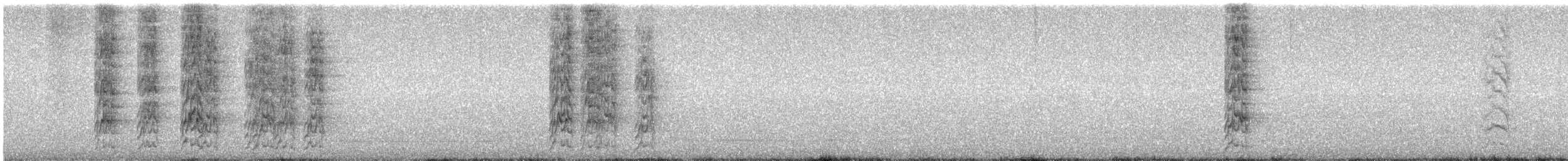 Conure magellanique - ML596006231