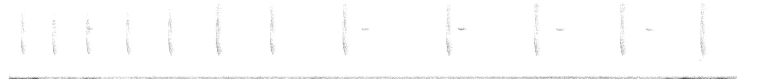 Broad-tailed Hummingbird - ML596007891