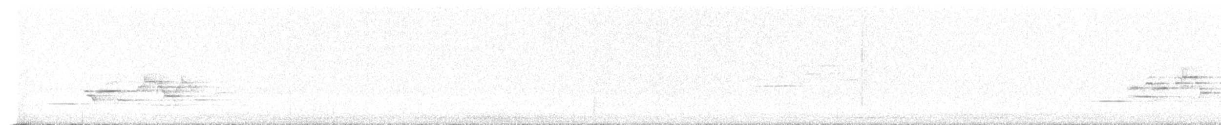 Дрізд-короткодзьоб плямистоволий - ML596012921