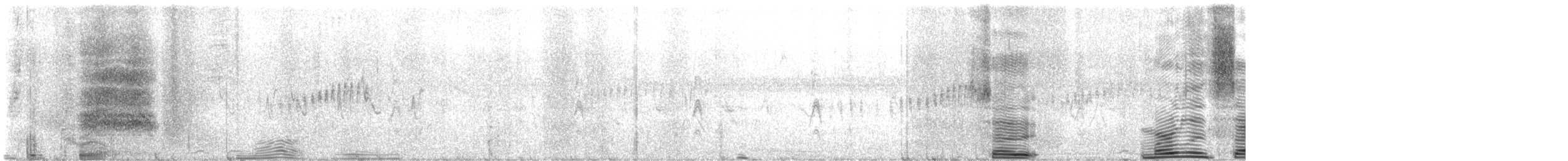 Tyran mélancolique - ML596080731