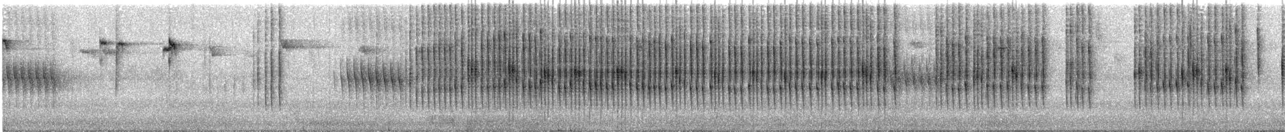 Thorn-tailed Rayadito - ML596082331