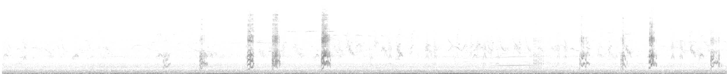 mníšek šedý [skupina monachus] - ML596094071