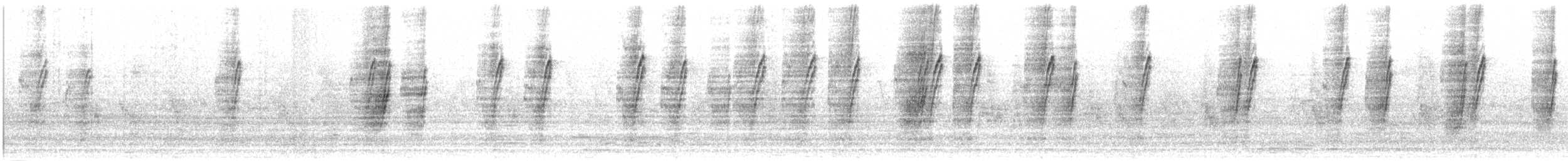 langhalesmett (mexicanus gr.) - ML596094131