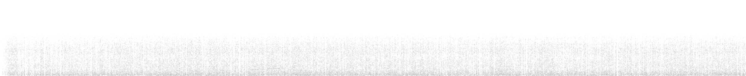 Мохноногий сыч (richardsoni) - ML596120341