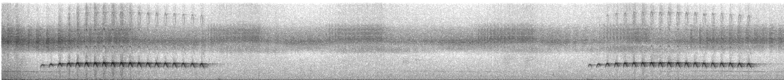 Batılı Alevli Karıncakuşu - ML596145241