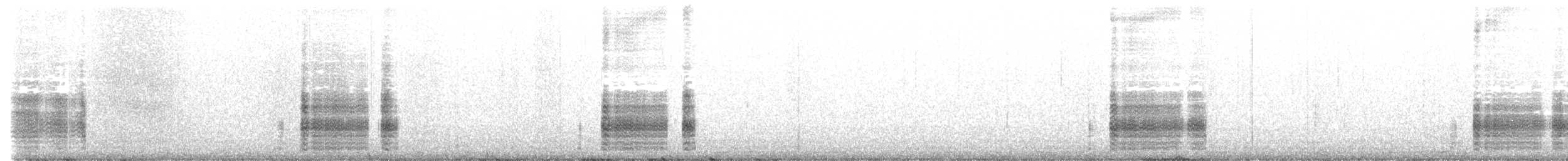 Прямохвостая качурка (pelagicus) - ML596148591