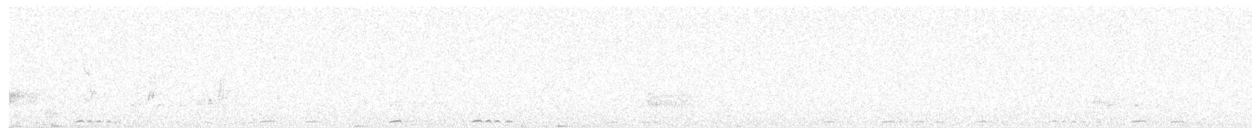 Белокрылый каменный голубь - ML596168781