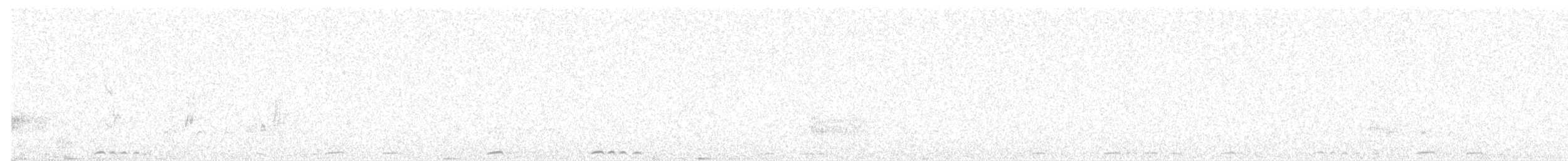 White-quilled Rock-Pigeon - ML596168781
