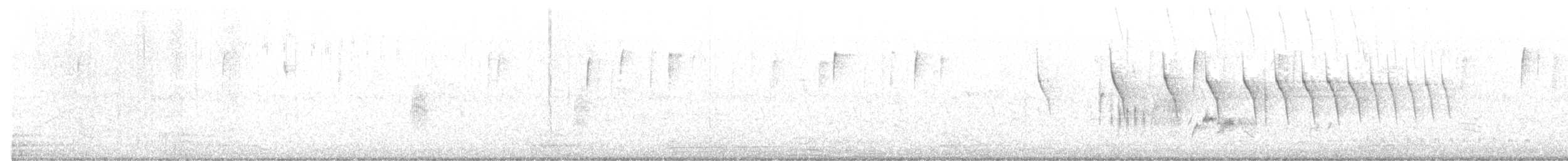 Eastern Screech-Owl - ML596168891