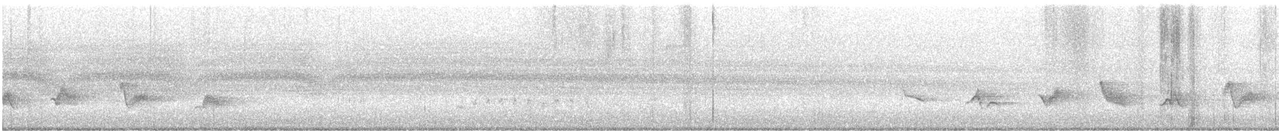 Kara Kanatlı Piranga - ML596169181