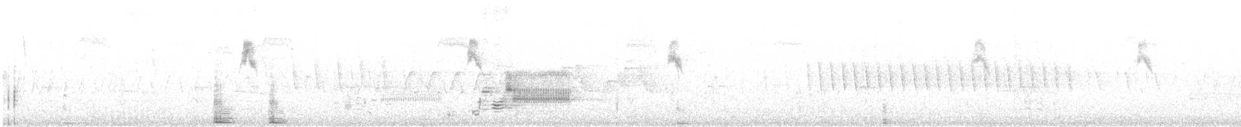 オウサマタイランチョウ - ML596190431