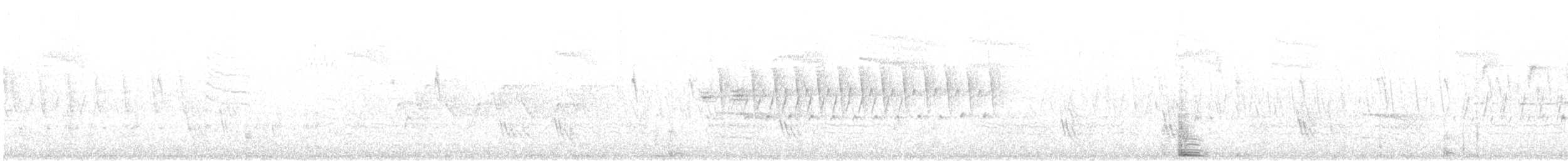 ムラサキツバメ - ML596190471