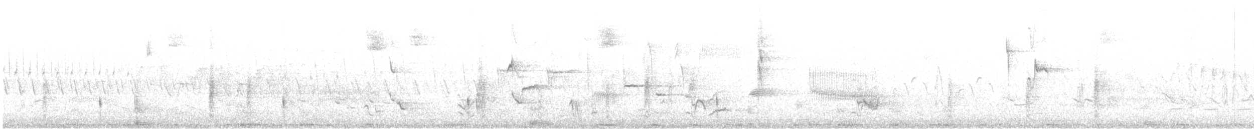 ネコマネドリ - ML596190501