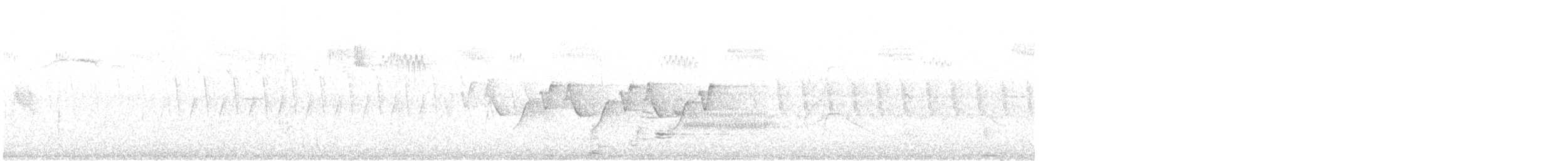 カオグロアメリカムシクイ - ML596190531