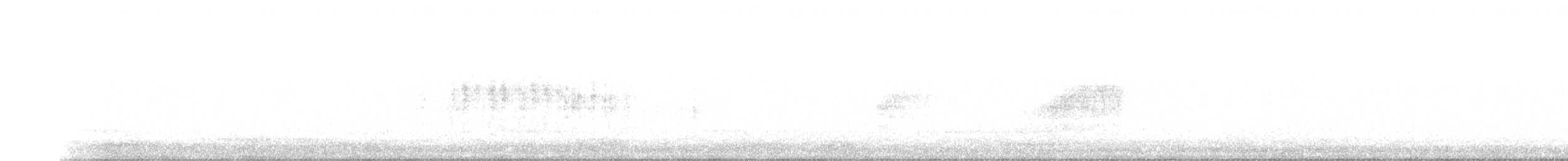 小秧雞 - ML596191691
