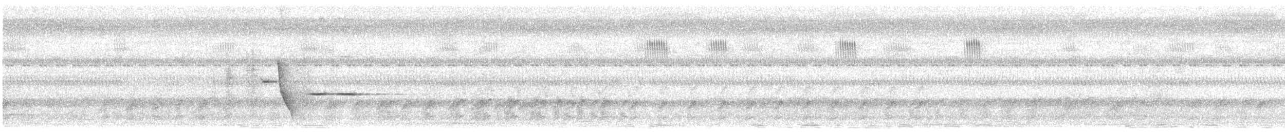 White-bellied Thicket-Fantail - ML596207281