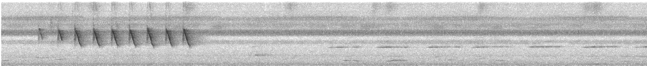 Чёрная нектарница - ML596210121