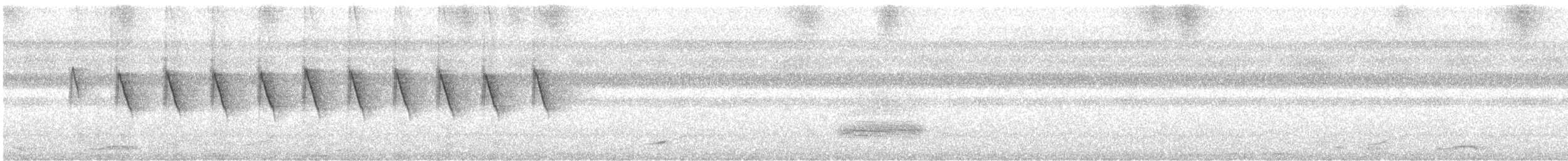Чёрная нектарница - ML596210131